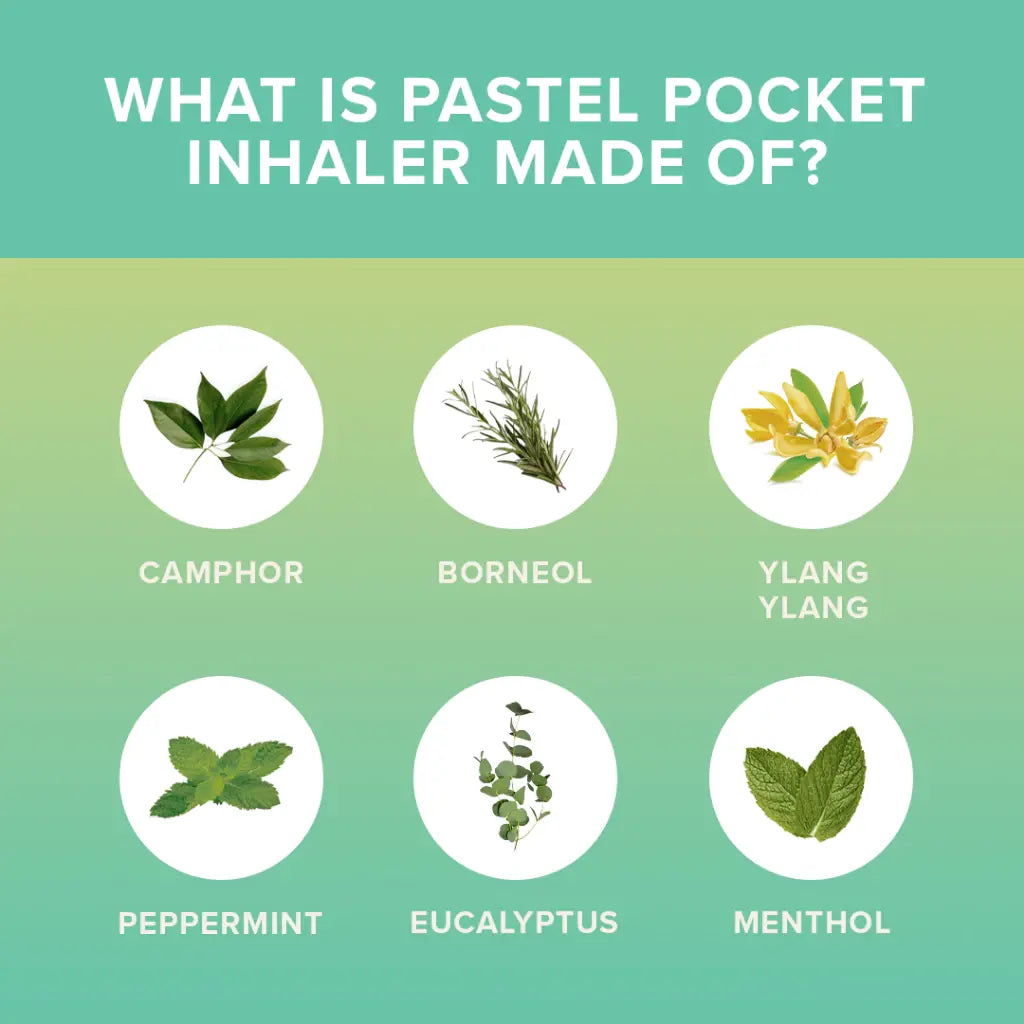 Pastel Brand Pocket Inhaler – Original (Pack of 60)