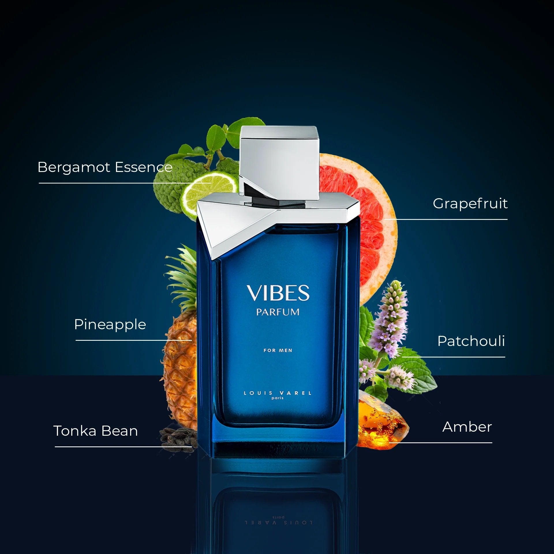 VIBES PARFUM MEN EDP 100ML