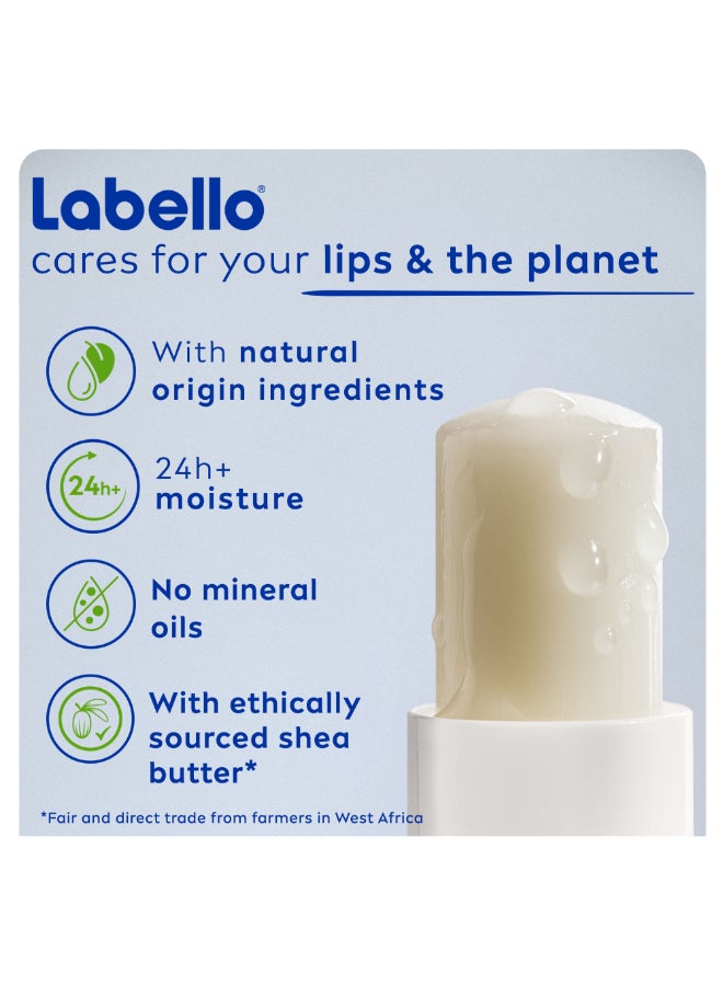 Labello Original Caring Lip Balm Clear