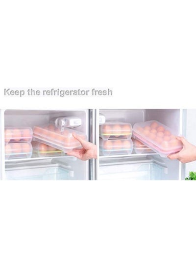 Plastic Egg Storage Container