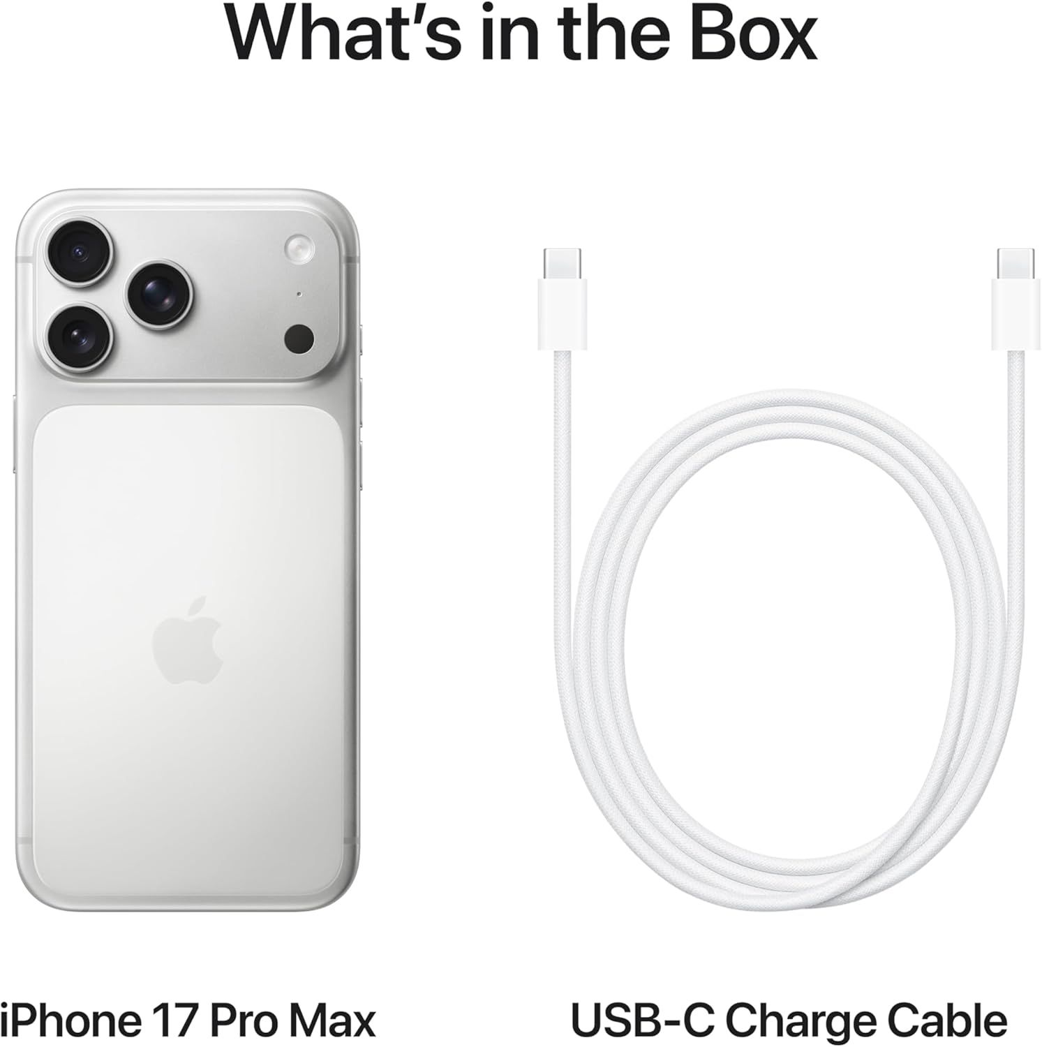 Apple iPhone 17 Pro Max 256 GB: 6.9-inch Display with ProMotion, A19 Pro Chip, Best Battery Life in Any iPhone Ever, Pro Fusion Camera System, Center Stage Front Camera; Silver - International Version