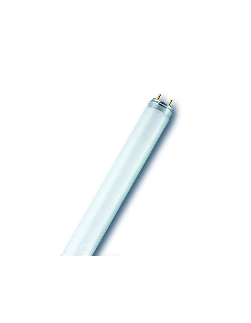 Osram/ Ledvance Fluorescent Tube Light Basic T8 L 36 Watts 3000k Warm White G13 Base- Pack of 5