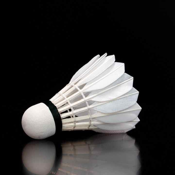 ECVV Shuttlecocks Goose Feather Badminton - Durable and Stable High Speed Shuttlecock Birdie Balls Set for Professional Training Or Family Outdoor Sports | 3 Pack |