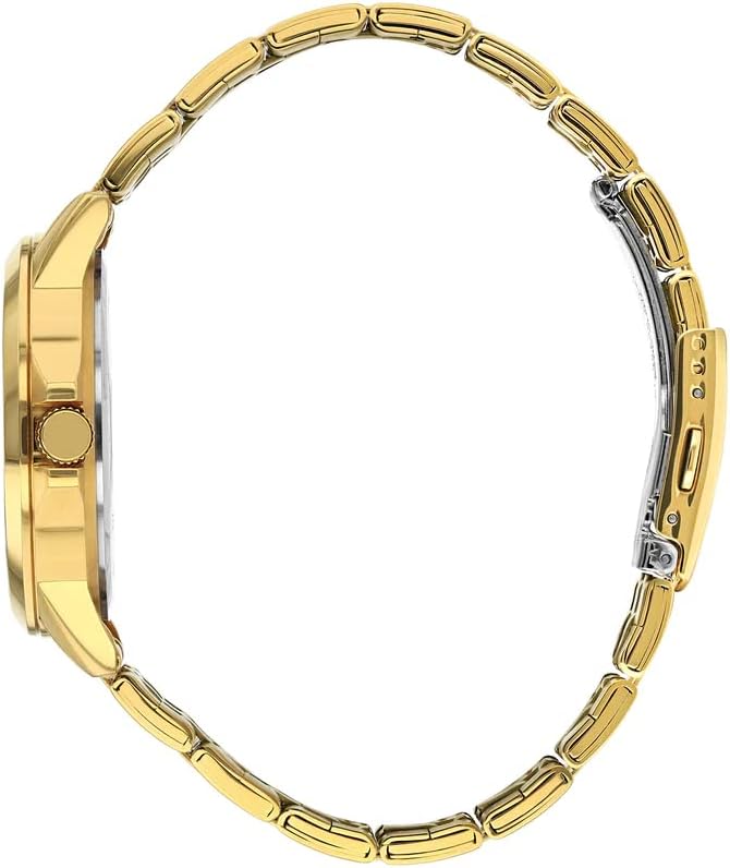 Citizen Dz5002-52e watch