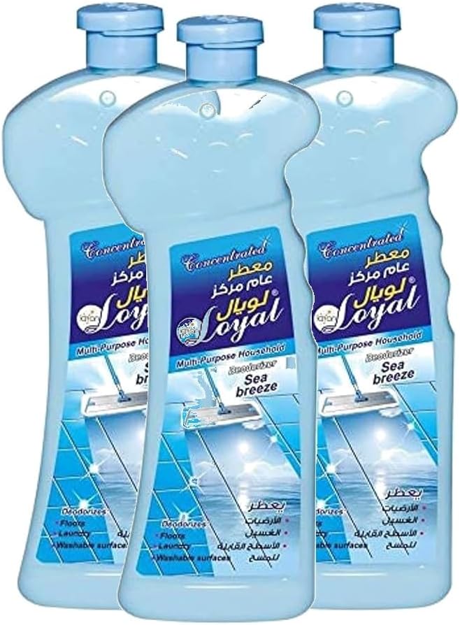 LOYAL Concentrated Household Deodorizer | Sea Breeze Pack of 3-700 Ml
