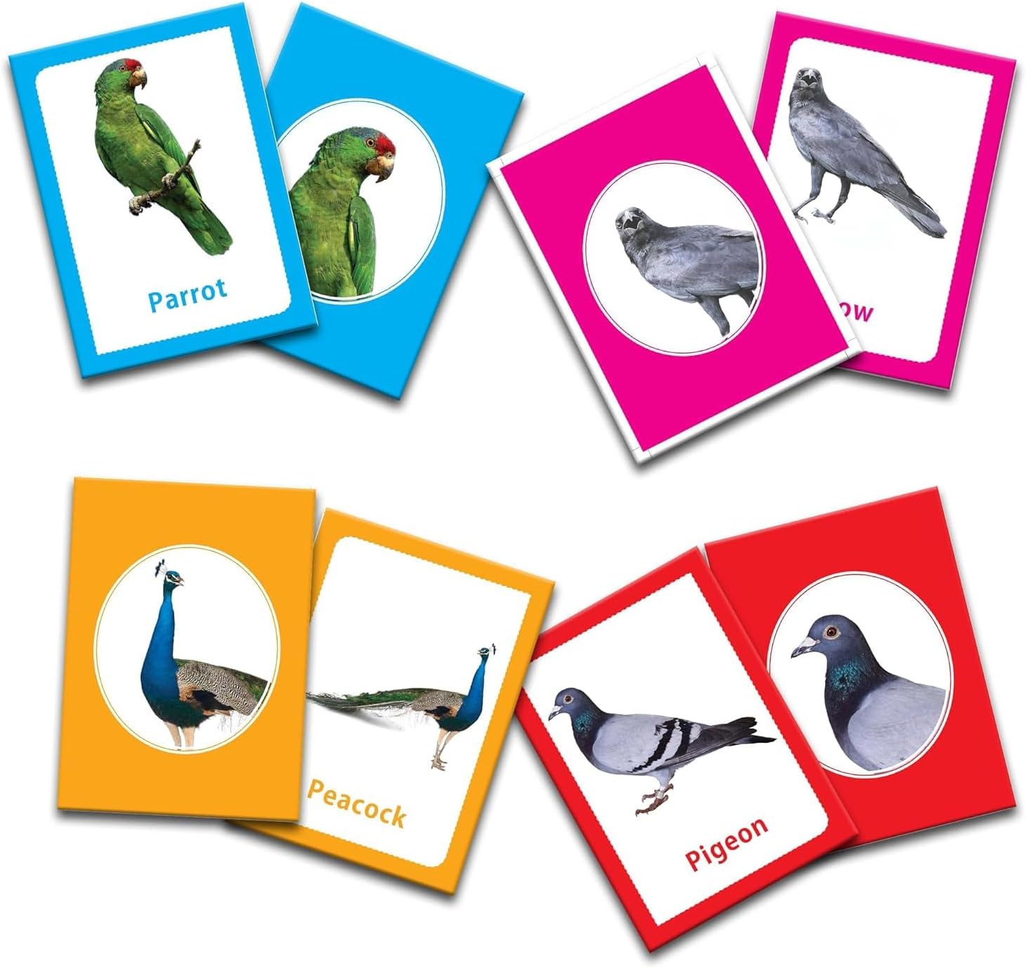 32 Pcs Birds Themed Preschool Learning Flashcards for Boys and Girls