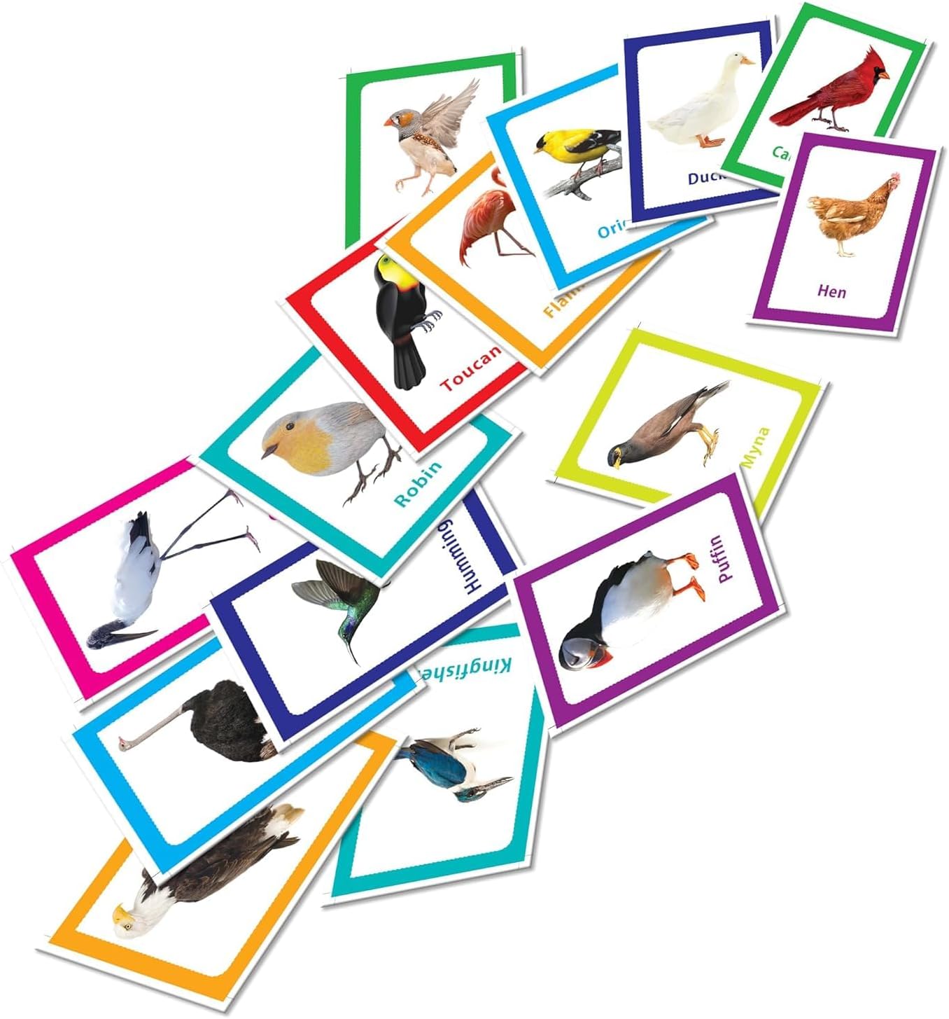 32 Pcs Birds Themed Preschool Learning Flashcards for Boys and Girls