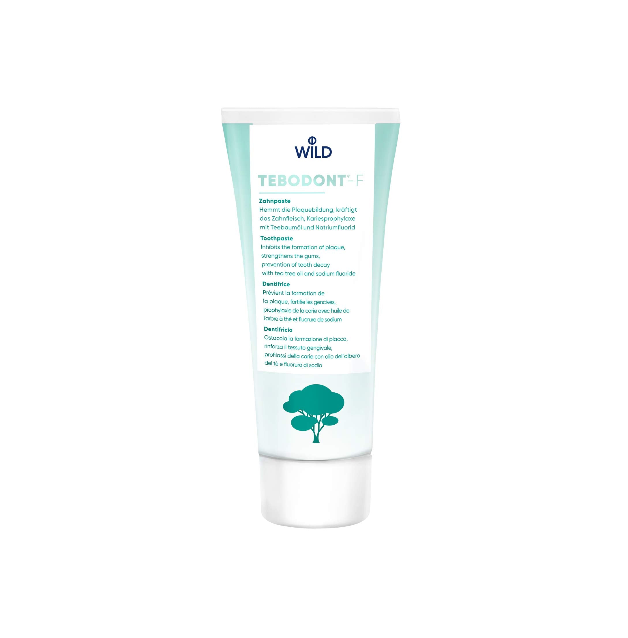 Tebodont T/Paste 75Ml