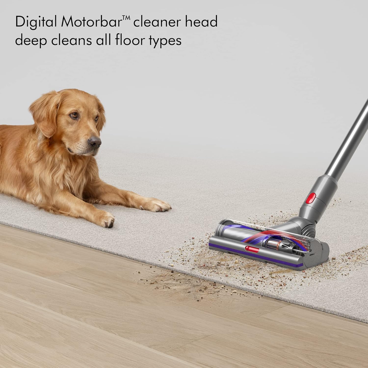 Dyson V15s Detect Submarine Vacuum Cleaner, Yellow/Nickel - International Version
