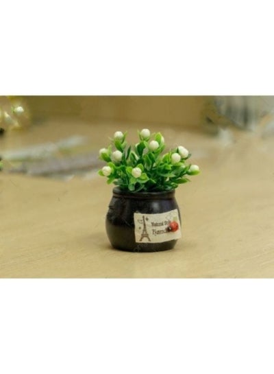 Mini Flower Vase for Home Decoration
