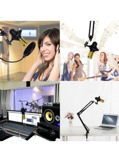 بطاقة صوت Live V9 متعددة الوظائف من مايك ميوزيك ومجموعة ميكروفون تعليق BM800، مجموعة ميكروفون مكثف للبث، بطاقة صوت حية ذكية للبث عبر الإنترنت لأجهزة الكمبيوتر والهواتف المحمولة (الإصدار 9، أسود)