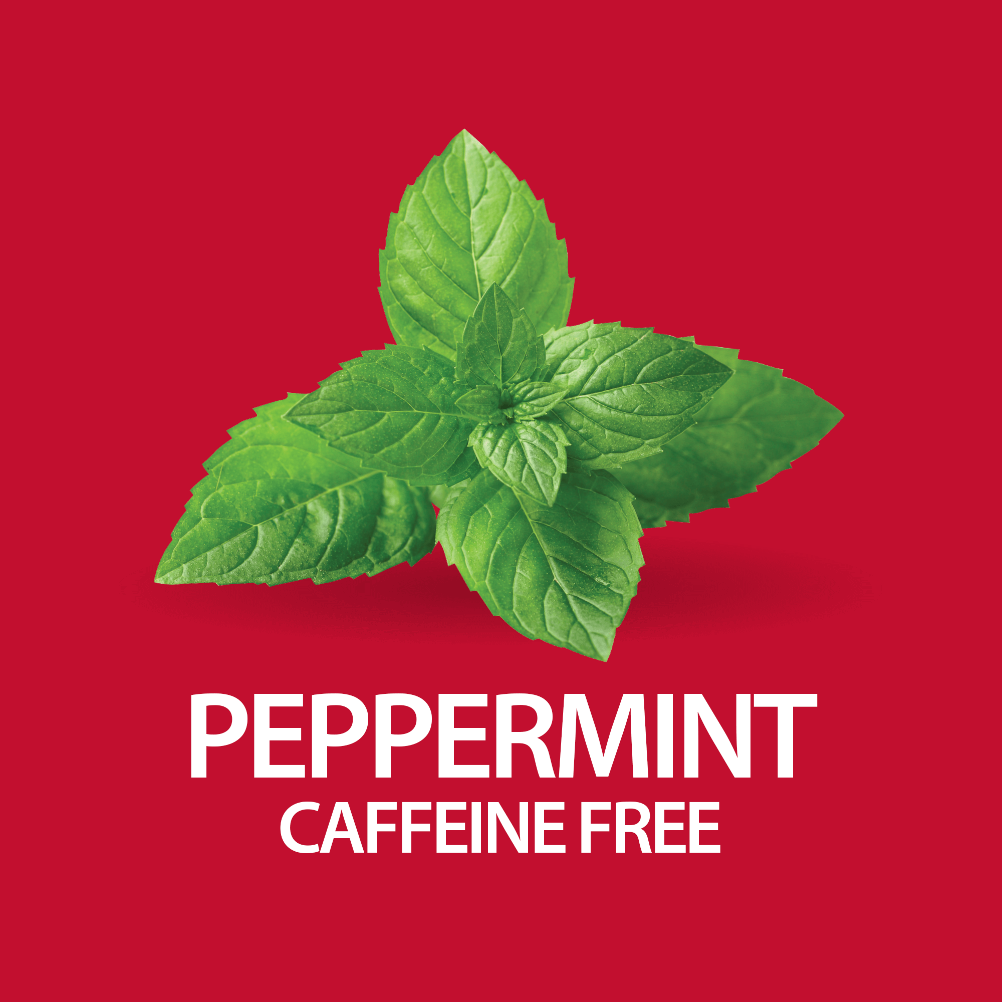 Vitamins Herbal Slimming Tea - Peppermint 24Bags