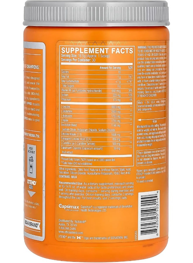 XTEND Ripped BCAA Powder Strawberry Kiwi Splash - ZERO SUGAR Post Workout Muscle Recovery Drink with Amino Acids - 7g BCAAs for Men & Women - 30 Servings