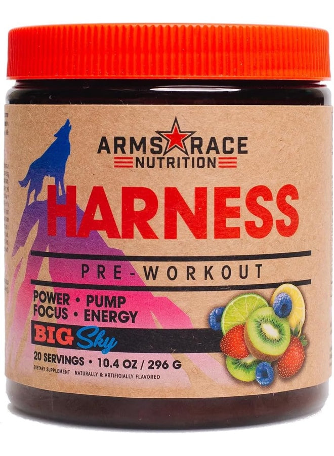 مكملات التغذية Arms Race Nutrition Harness قبل التمرين، 20 حصة من Big Sky