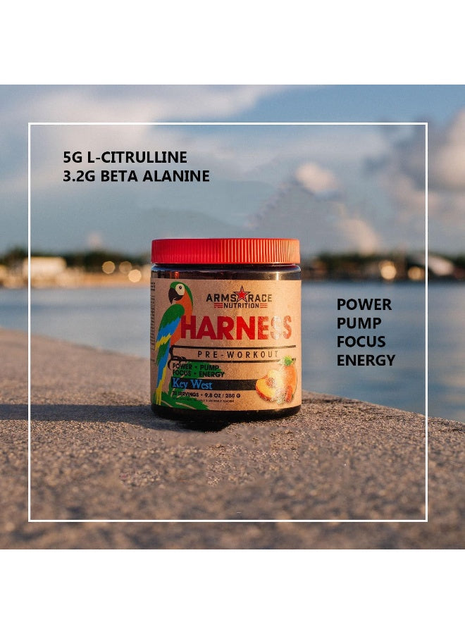 مكملات التغذية Arms Race Nutrition Harness قبل التمرين، 20 حصة من Big Sky