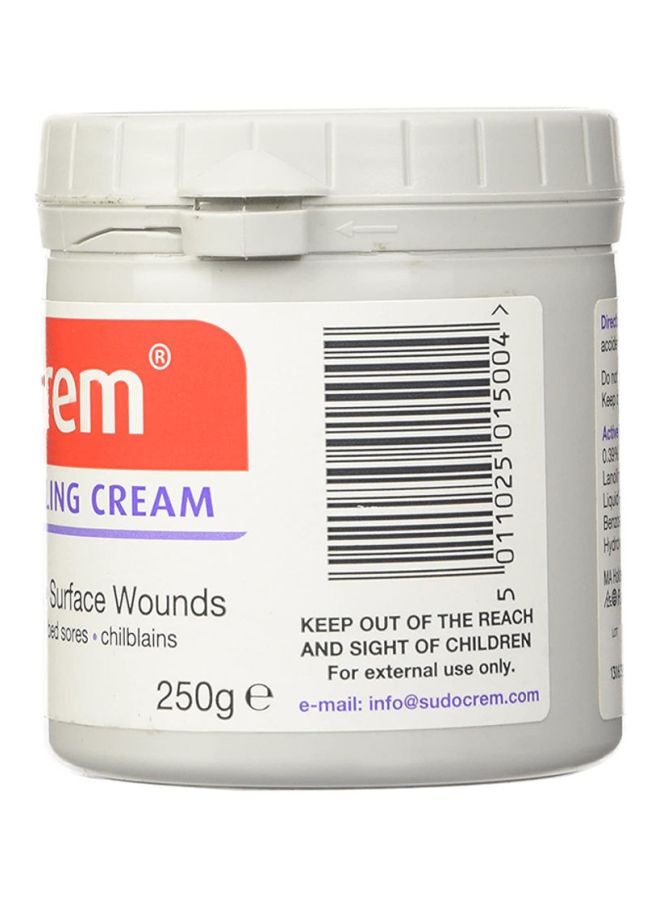 Sudocrem Antiseptic Healing Cream - 250g