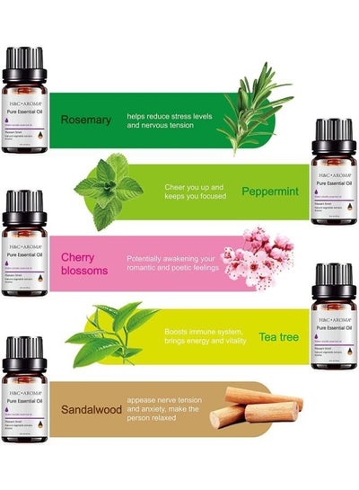 5 Pieces 10ml Bottles of Scented Essential Oils for Air Humidifier Revitalizer
