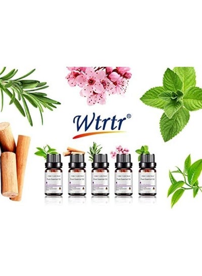 5 Pieces 10ml Bottles of Scented Essential Oils for Air Humidifier Revitalizer