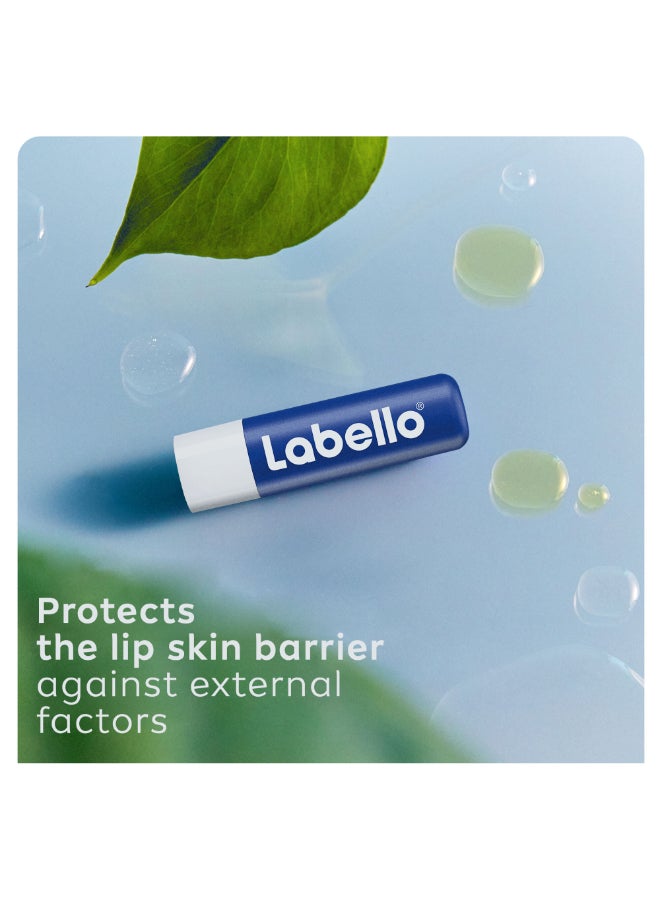 Labello Original Caring Lip Balm Clear