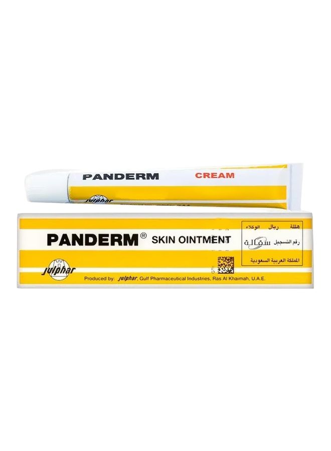 Panderm Ointment 30Gm