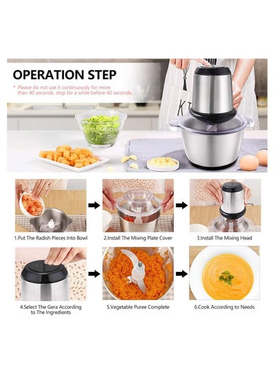 Electric Meat Chopper and Grinder, Stainless Steel Food Processor for Vegetable and Fruits 3L
