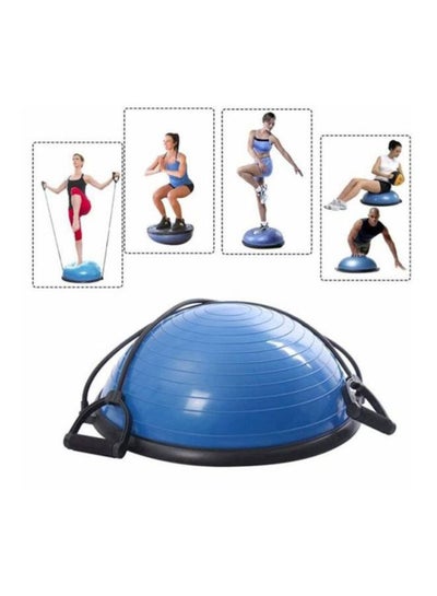 The World Sports Balance Swiss Ball Board