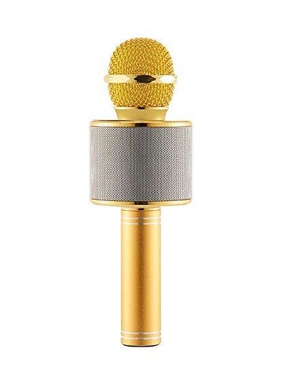 Karaoke Mic With Bluetooth Speaker Gold/Silver