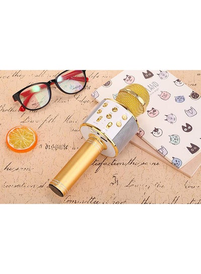 Karaoke Mic With Bluetooth Speaker Gold/Silver
