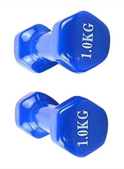2-Piece Double Dumbbells - 1 Kg 1kg
