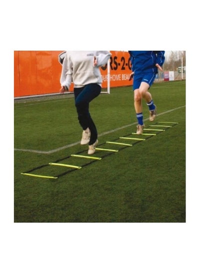 Speed Agility Ladder