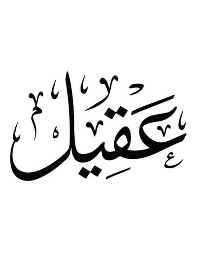 Aqeel Wall Art White/Black 30x30cm