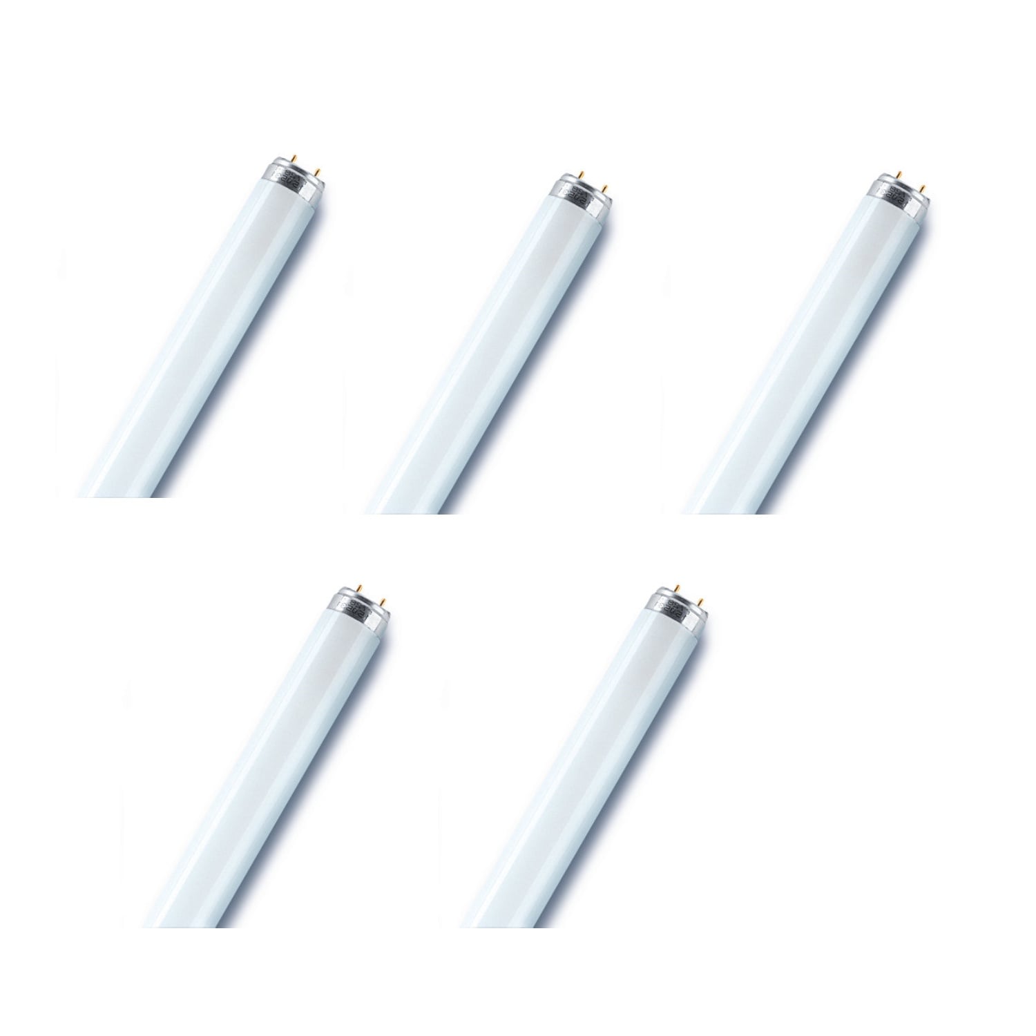 Osram/ Ledvance Fluorescent Tube Light Basic T8 L 18 Watts 6500k Day Light Otf18W 0.6 m- Pack of 5
