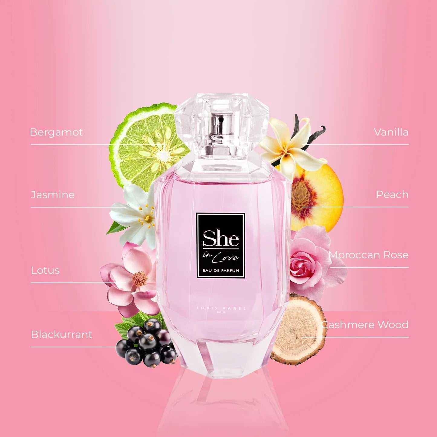 LOUIS VAREL SHE IN LOVE EDP WOMEN 100ML