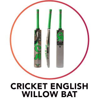 cricket  English willow bat
